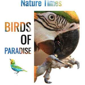 Birds of Paradise