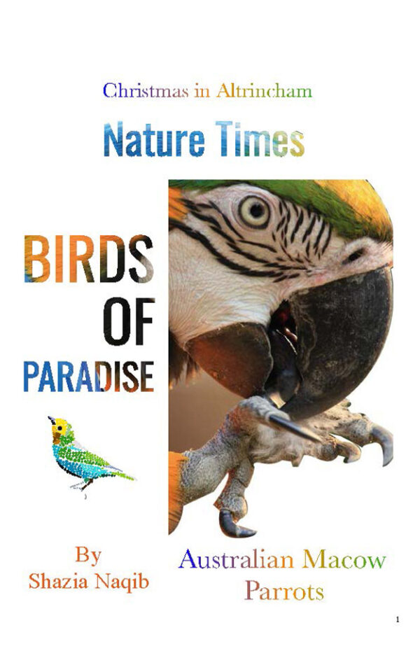 Birds of Paradise