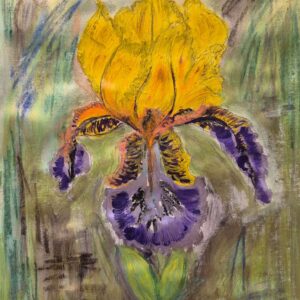 A bold expression of nature’s elegance, Golden Whisper of the Iris captures the delicate tension between light and shadow, softness and strength. With golden petals unfolding like whispered secrets and deep violet falls anchoring the bloom in mystery, this piece evokes quiet resilience. Created with layered textures and gestural marks, the expressive background invites the viewer into a space between dream and reality. 🎨 Medium: Mixed Media on A2 size paper ✍️ Artist: [Your Name] 🌸 Inspiration: The graceful Iris flower — symbol of wisdom, courage, and transformation.