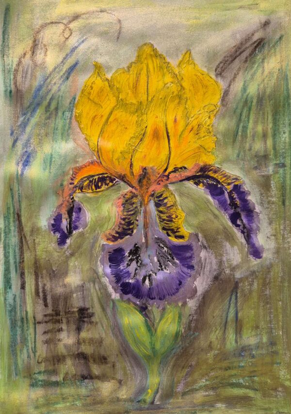 A bold expression of nature’s elegance, Golden Whisper of the Iris captures the delicate tension between light and shadow, softness and strength. With golden petals unfolding like whispered secrets and deep violet falls anchoring the bloom in mystery, this piece evokes quiet resilience. Created with layered textures and gestural marks, the expressive background invites the viewer into a space between dream and reality. 🎨 Medium: Mixed Media on A2 size paper ✍️ Artist: [Your Name] 🌸 Inspiration: The graceful Iris flower — symbol of wisdom, courage, and transformation.