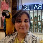 ShaziArt Digital